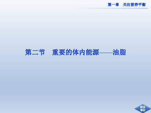 人教版高中化学选修1课件  第一章第二节