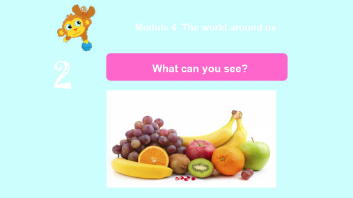 牛津上海版(试用本)二年级下册英语Module 1  Unit 1 What can you see课件
