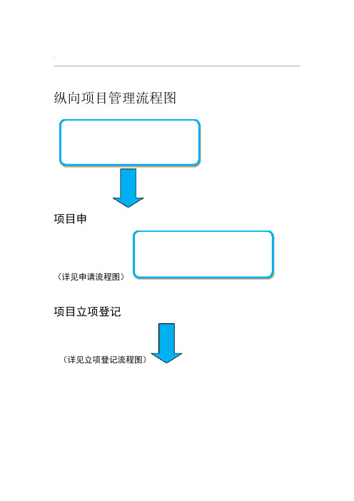纵向项目管理流程图word精品