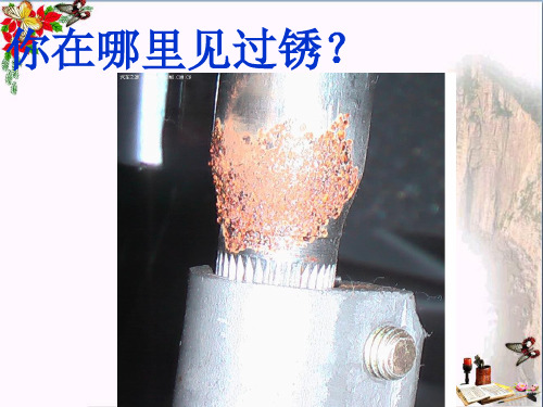 六年级科学上册铁钉生锈了ppt课件4苏教版