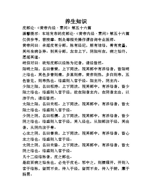 皮部论
