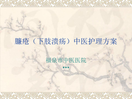 臁疮中医护理的方案