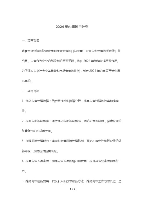 2024年内审项目计划