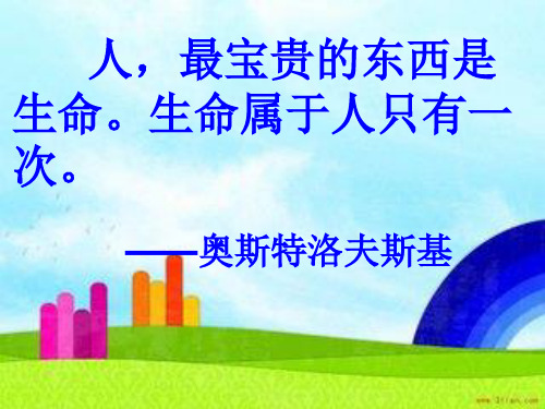 2020年人教版语文六年级下册综合复习 7.智慧之花 优秀课件 PPT
