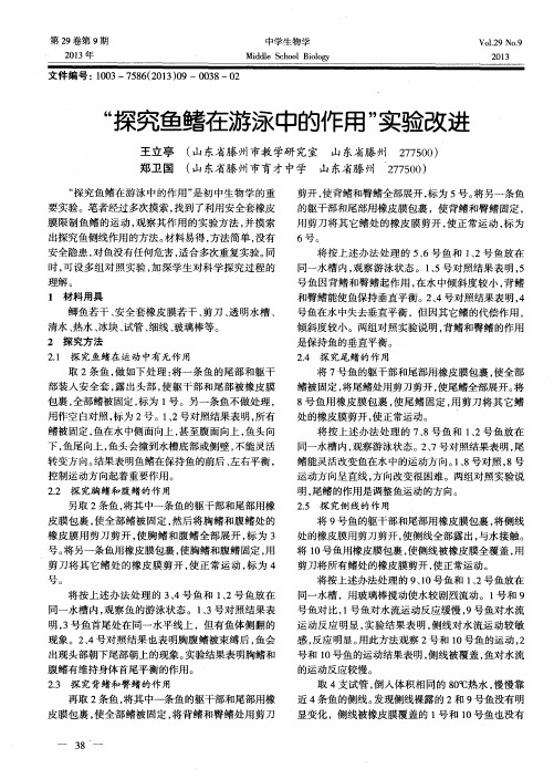 “探究鱼鳍在游泳中的作用”实验改进