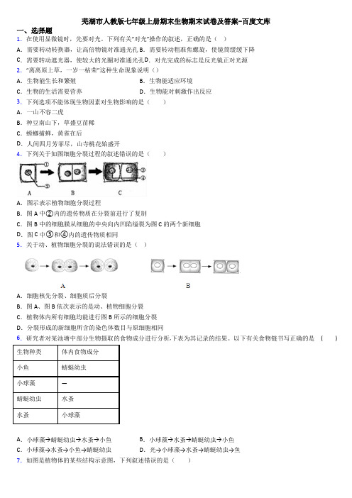 芜湖市人教版七年级上册期末生物期末试卷及答案-百度文库