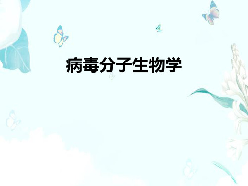 病毒分子生物学