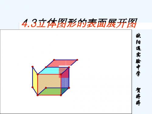 数学华东师大版七年级上册《立体图形的表面展开图》课件