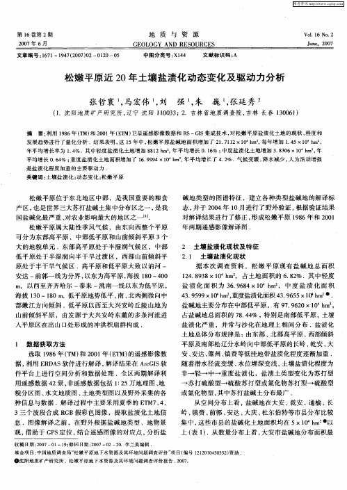松嫩平原近20年土壤盐渍化动态变化及驱动力分析