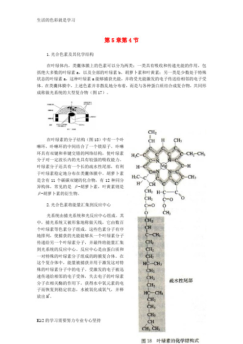 [推荐学习]高中生物 第五章 第四节 能量之源——光与光合作用素材 新人教版必修1