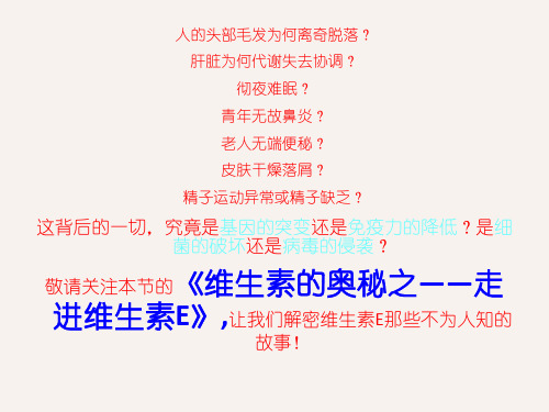 维生素E  ppt课件