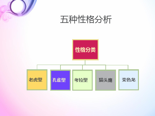 五种性格分析