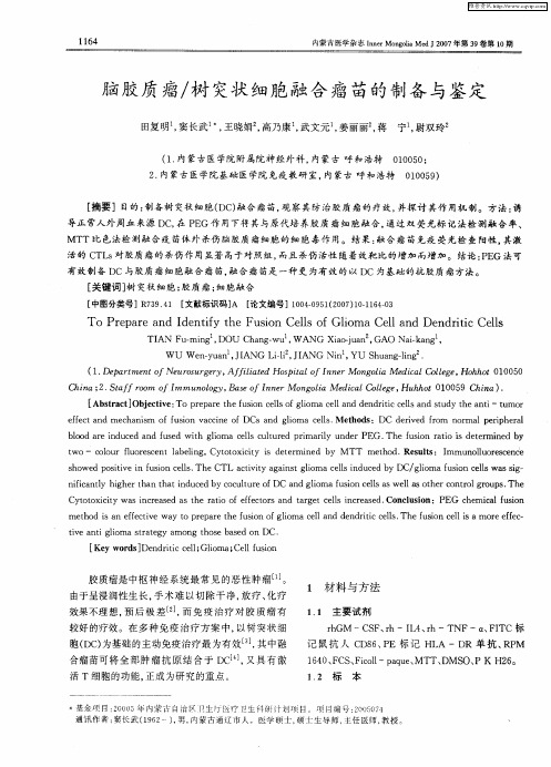 脑胶质瘤／树突状细胞融合瘤苗的制备与鉴定