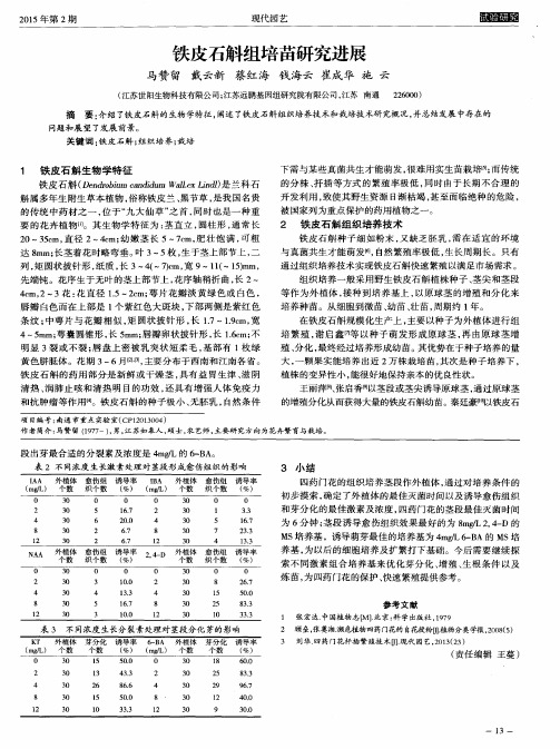 铁皮石斛组培苗研究进展