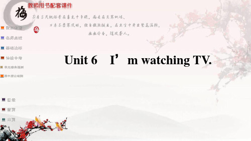 Unit 6 I'm watching TV复习课件