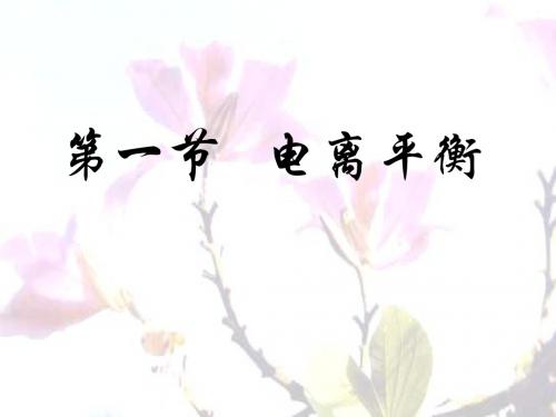 (2019版)高三化学上学期电离平衡第一课时