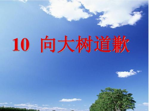 《向大树道歉》