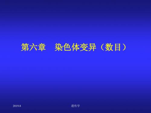 染色体变异(数目 81页PPT文档