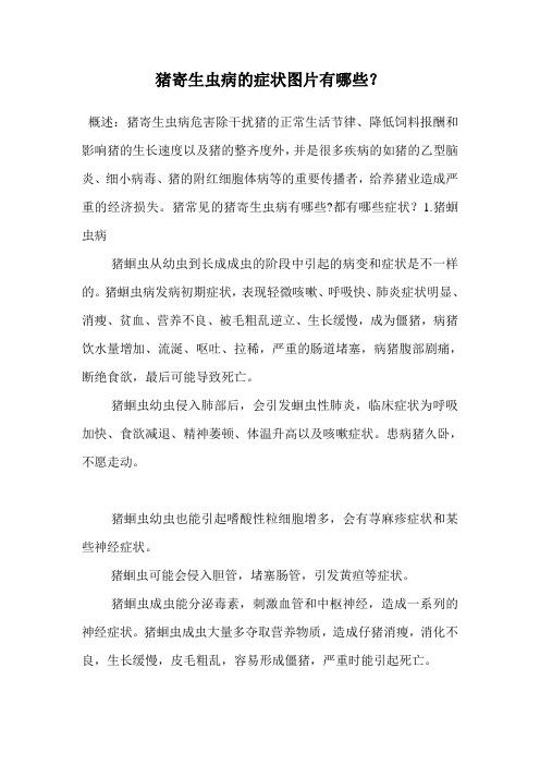 猪寄生虫病的症状图片有哪些？.doc