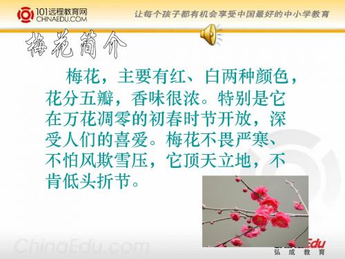 语文教学案例,设计者：韩冬《梅花魂》ppt课件2