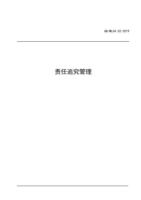 集团公司责任追究管理办法