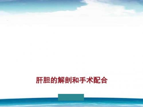 肝脏的解剖和手术配合  ppt课件