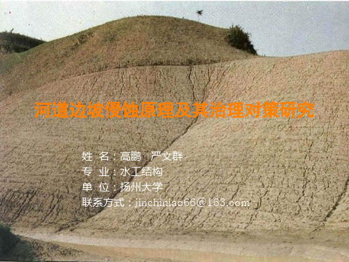 河道边坡侵蚀原理及其治理对策研究