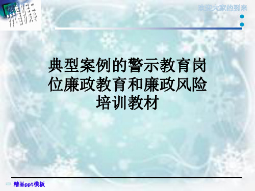 典型案例的警示教育岗位廉政教育和廉政风险培训教材
