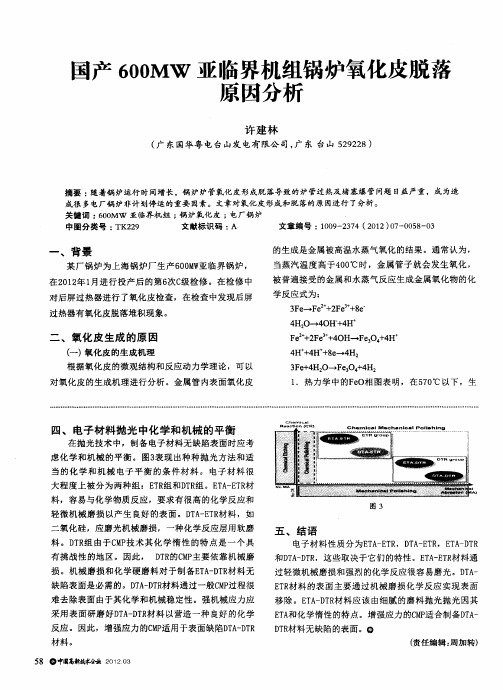 国产600MW亚临界机组锅炉氧化皮脱落原因分析