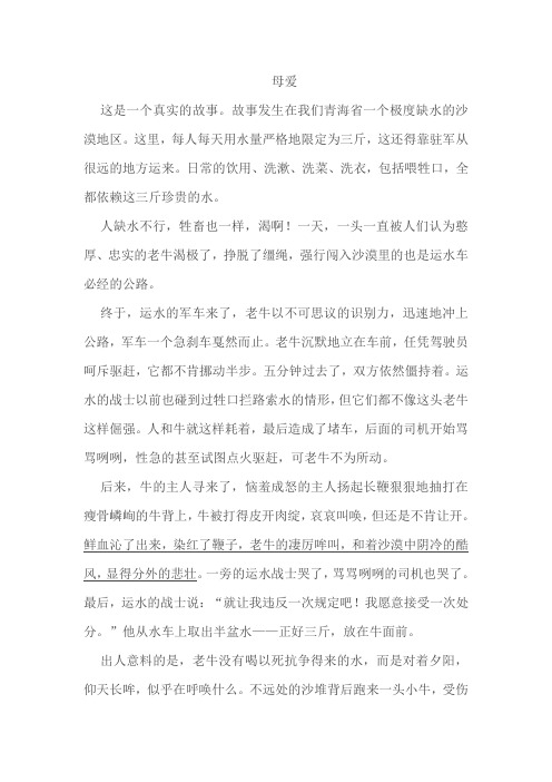 母爱阅读答案