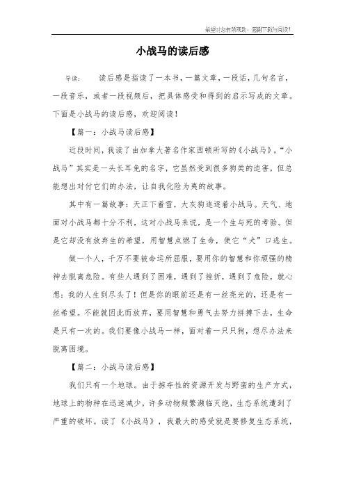 小战马的读后感