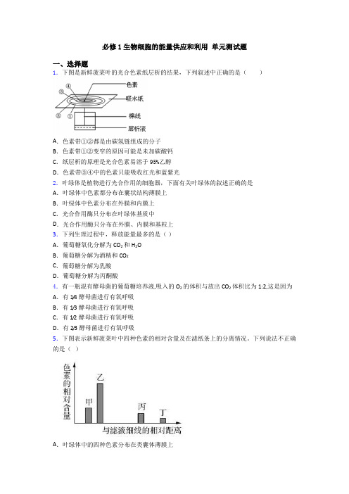 必修1生物细胞的能量供应和利用 单元测试题