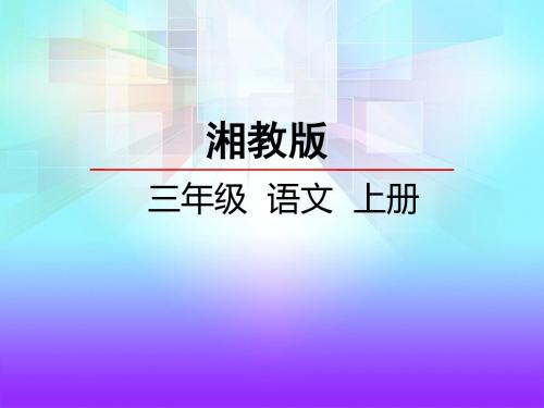 三年级上册语文课件-13秋虫音乐会   湘教版(2016) (共18张PPT)