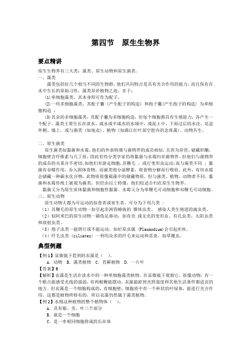 初中生物备课参考 原生生物界