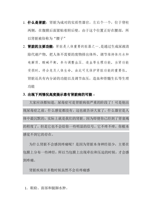 什么是肾脏
