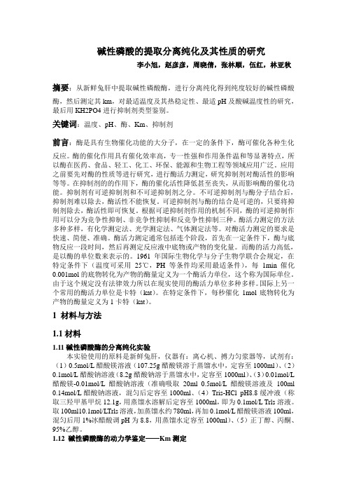 碱性磷酸酶