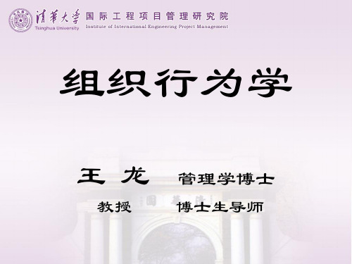 清华大学博导王龙教授《组织行为学》MBA授课讲义浙大授课班