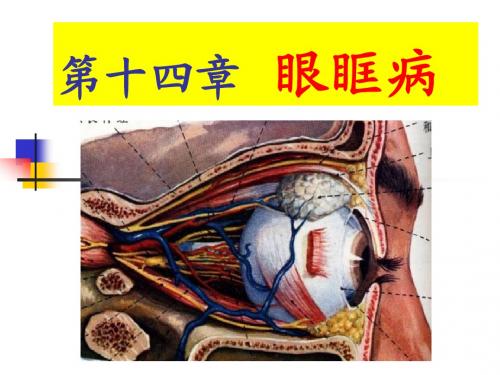 214眼眶病
