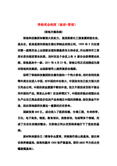 荣格-荣格科技集团-荣格公司最新奖金制度详细版