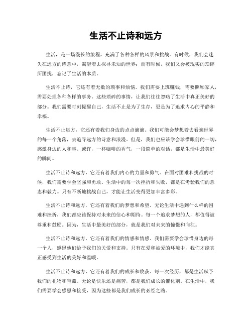 生活不止诗和远方