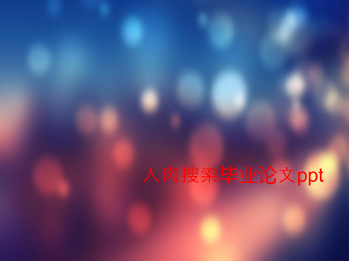 人肉搜索毕业论文ppt
