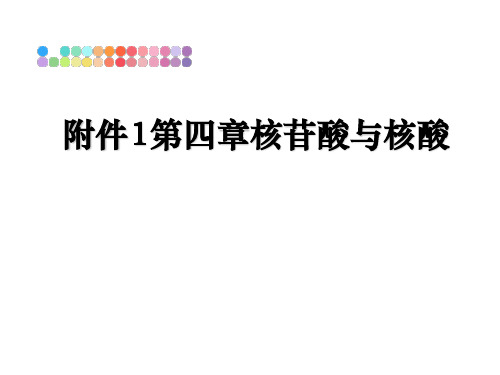 最新附件1第四章核苷酸与核酸课件ppt