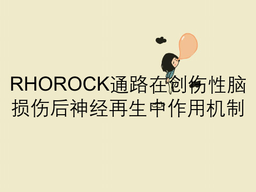 RHOROCK通路在创伤性脑损伤后神经再生中作用机制