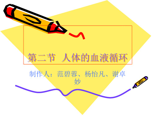 第二节  人体的血液