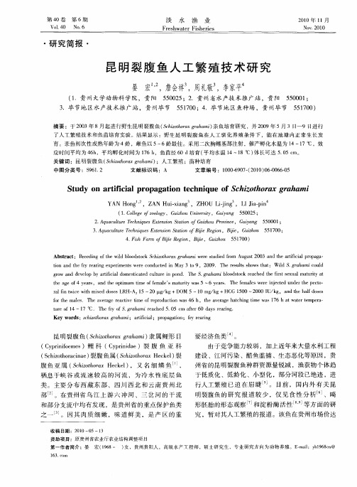 昆明裂腹鱼人工繁殖技术研究