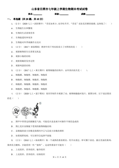 山东省日照市七年级上学期生物期末考试试卷