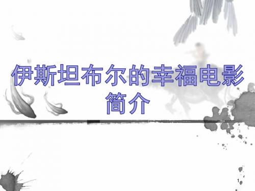 伊斯坦布尔的幸福电影简介