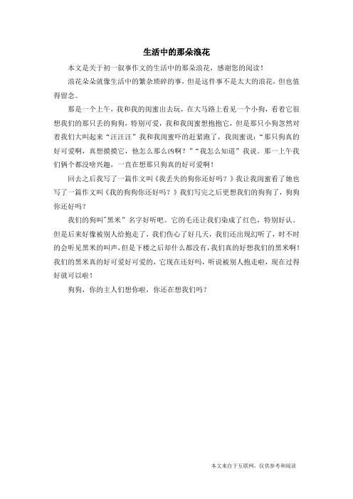 生活中的那朵浪花_初一叙事作文