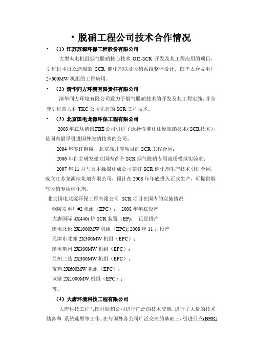 国内脱硝公司名称简介