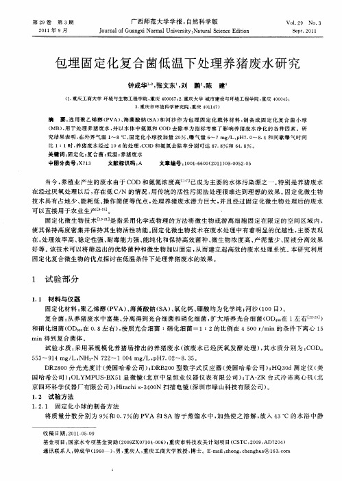 包埋固定化复合菌低温下处理养猪废水研究